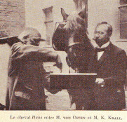  Le cheval Hans