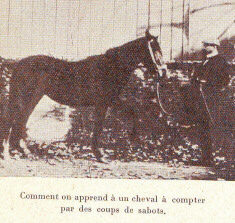  Le cheval compte avec ses sabots