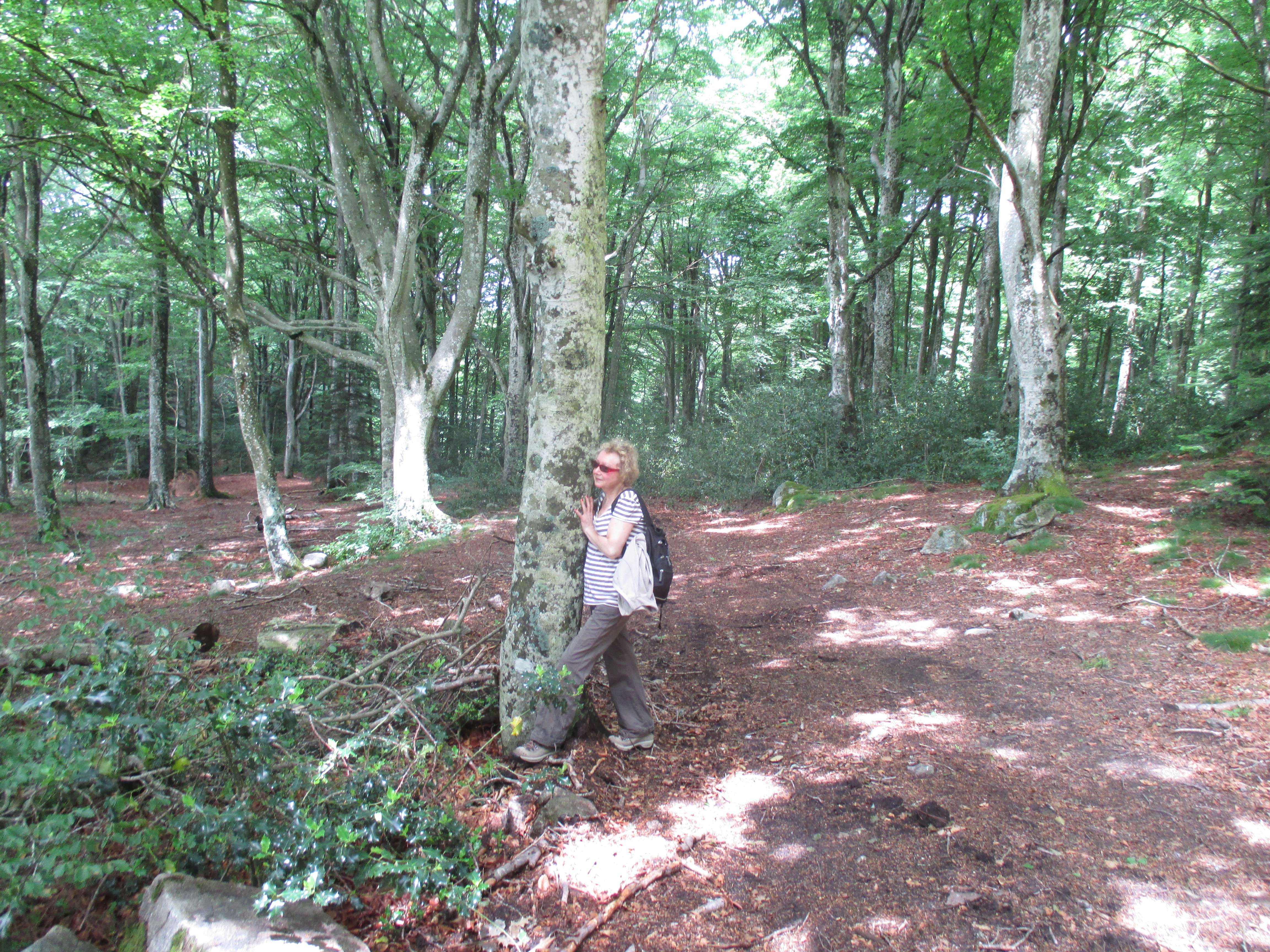 contact avec la forêt