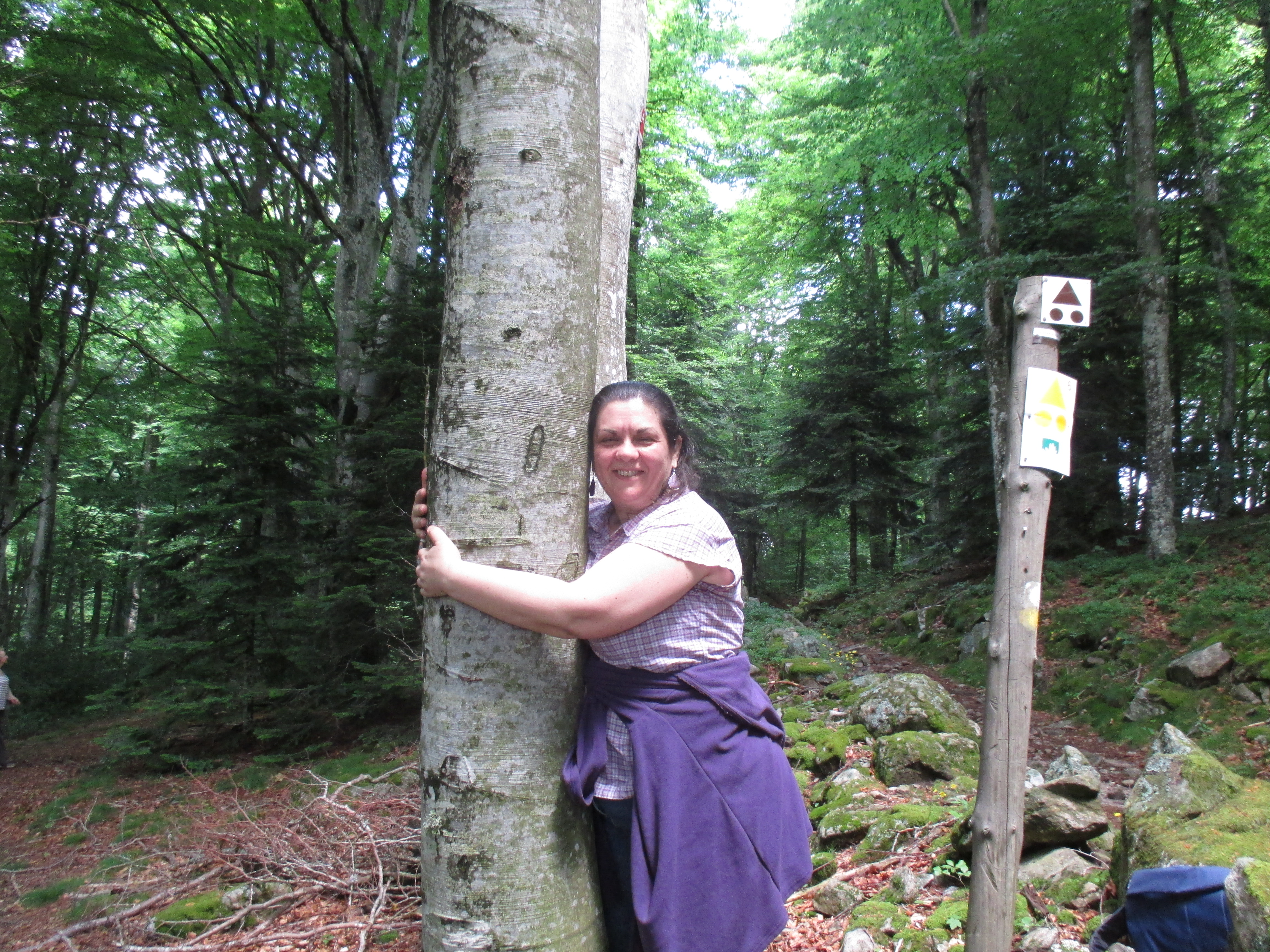 contact avec la forêt