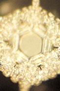Fluides