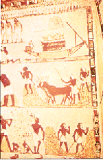 La fresque retrouvée dans le tombeau de Ména en Egypte 