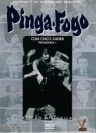 Pinga fogo